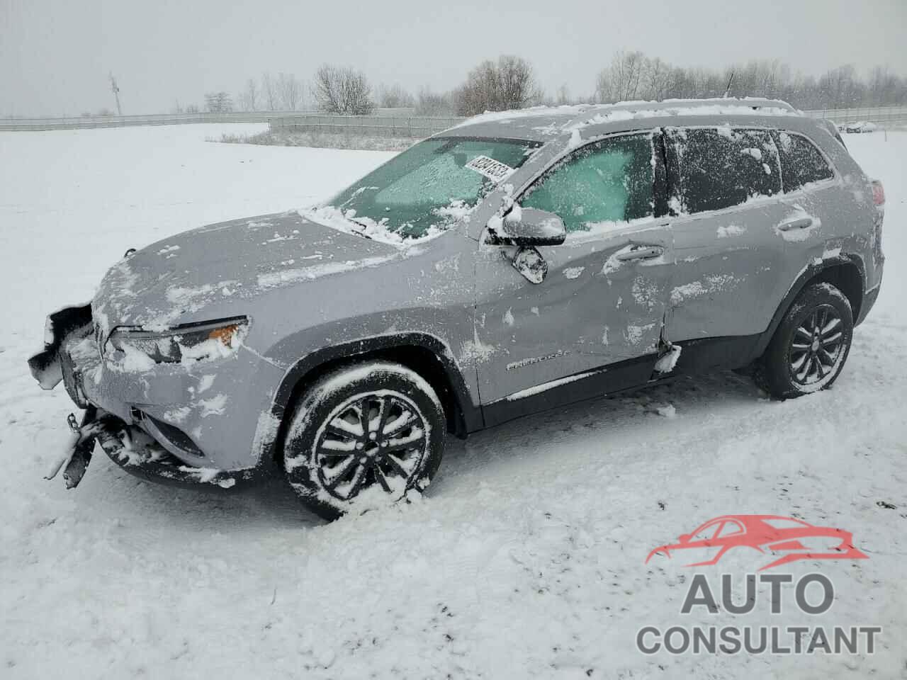 JEEP GRAND CHER 2019 - 1C4PJLLB9KD154132