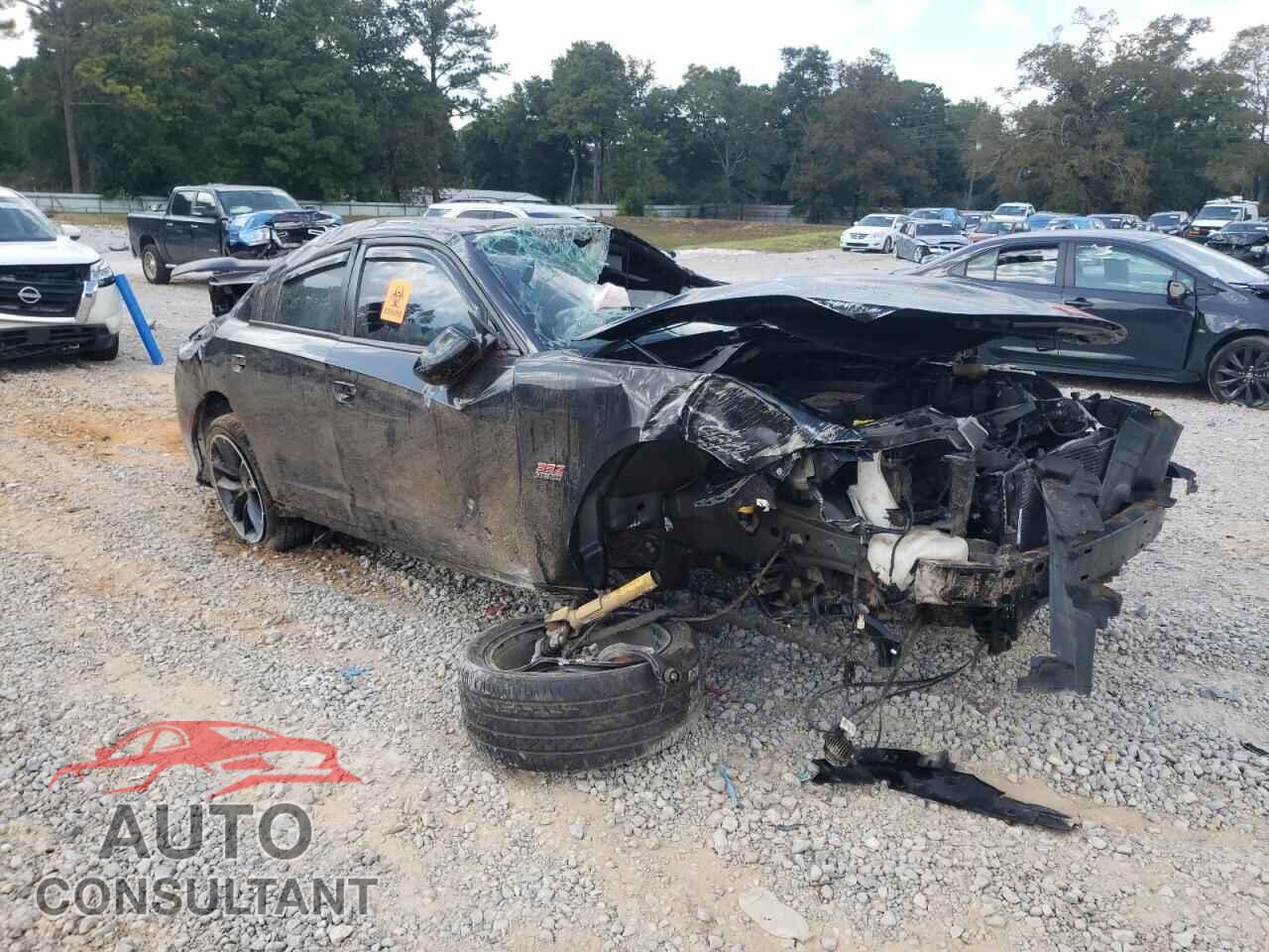DODGE CHARGER 2019 - 2C3CDXGJ3KH510788