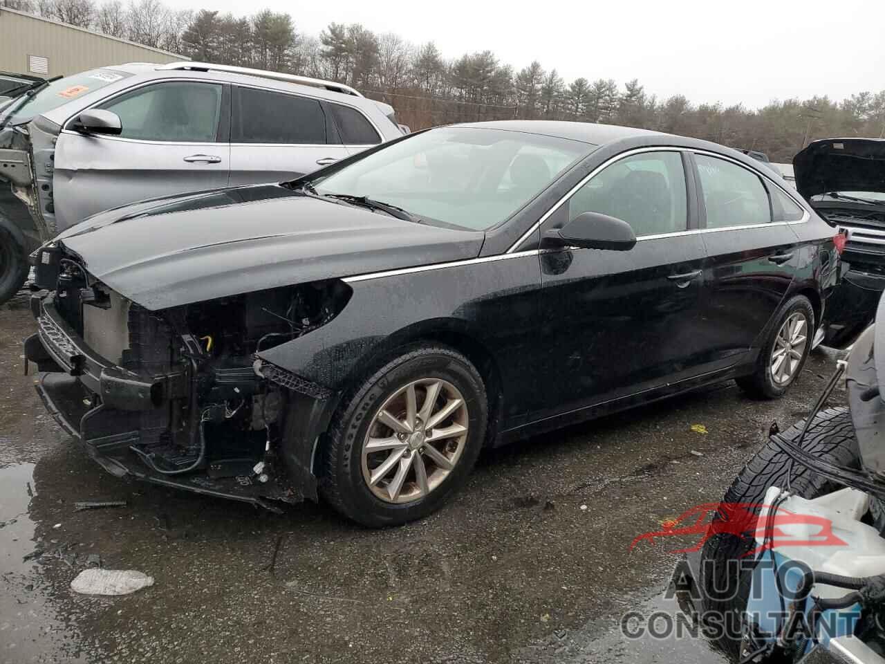 HYUNDAI SONATA 2019 - 5NPE24AF5KH734567