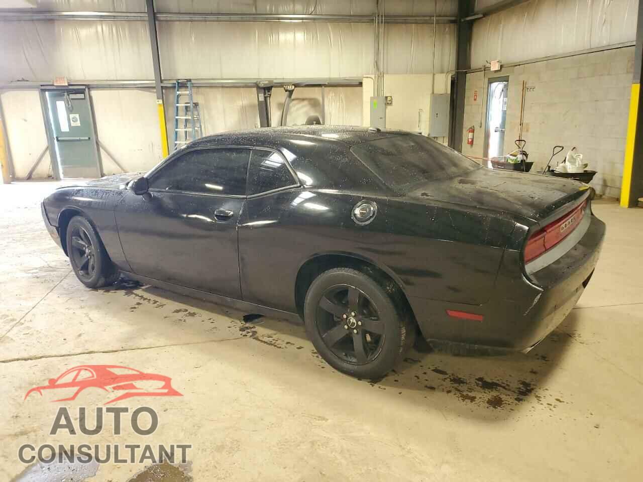 DODGE CHALLENGER 2013 - 2C3CDYAG5DH725000