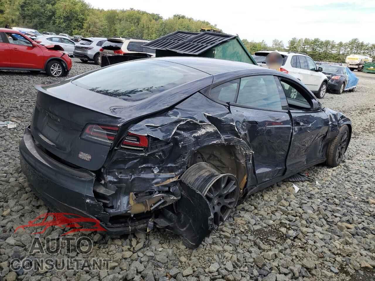 TESLA MODEL S 2024 - 5YJSA1E6XRF534856