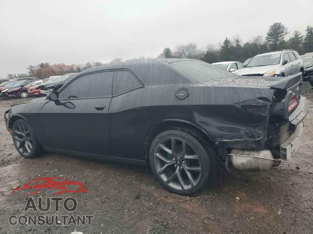 DODGE CHALLENGER 2019 - 2C3CDZAG3KH667844