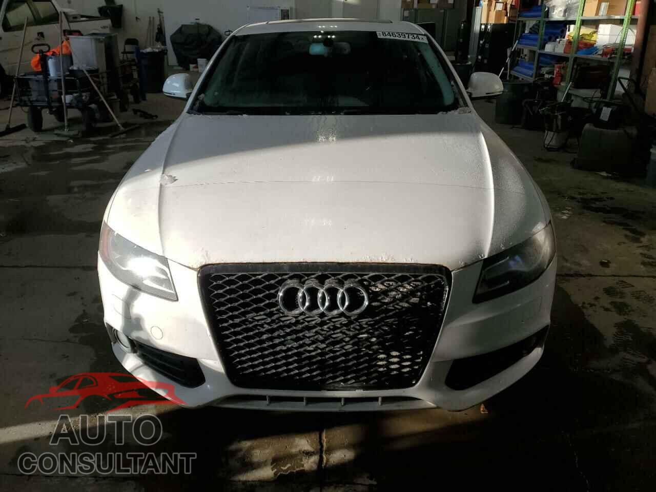 AUDI A4 2009 - WAULF68K89A090491
