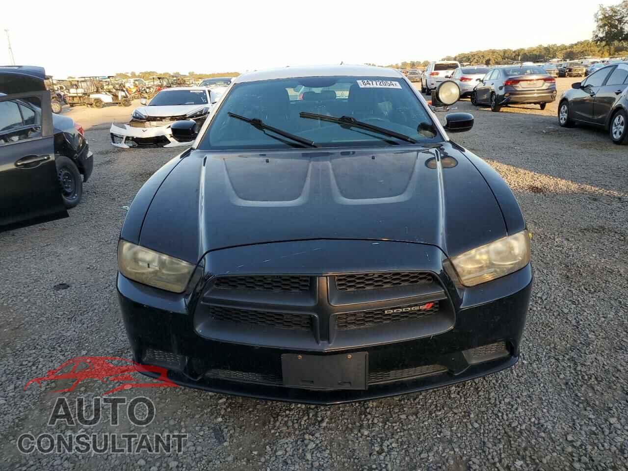 DODGE CHARGER 2014 - 2C3CDXAG1EH124811
