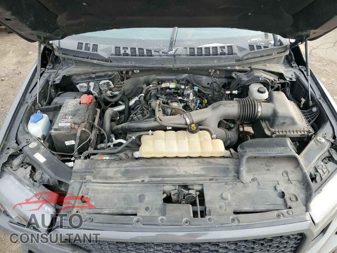 FORD F-150 2020 - 1FTEW1EP8LFB65165