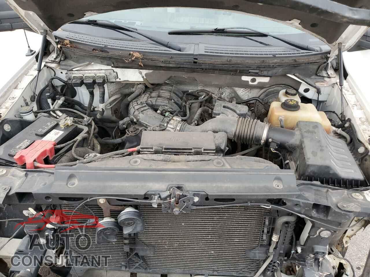 FORD F-150 2011 - 1FTEX1CM2BFB17911