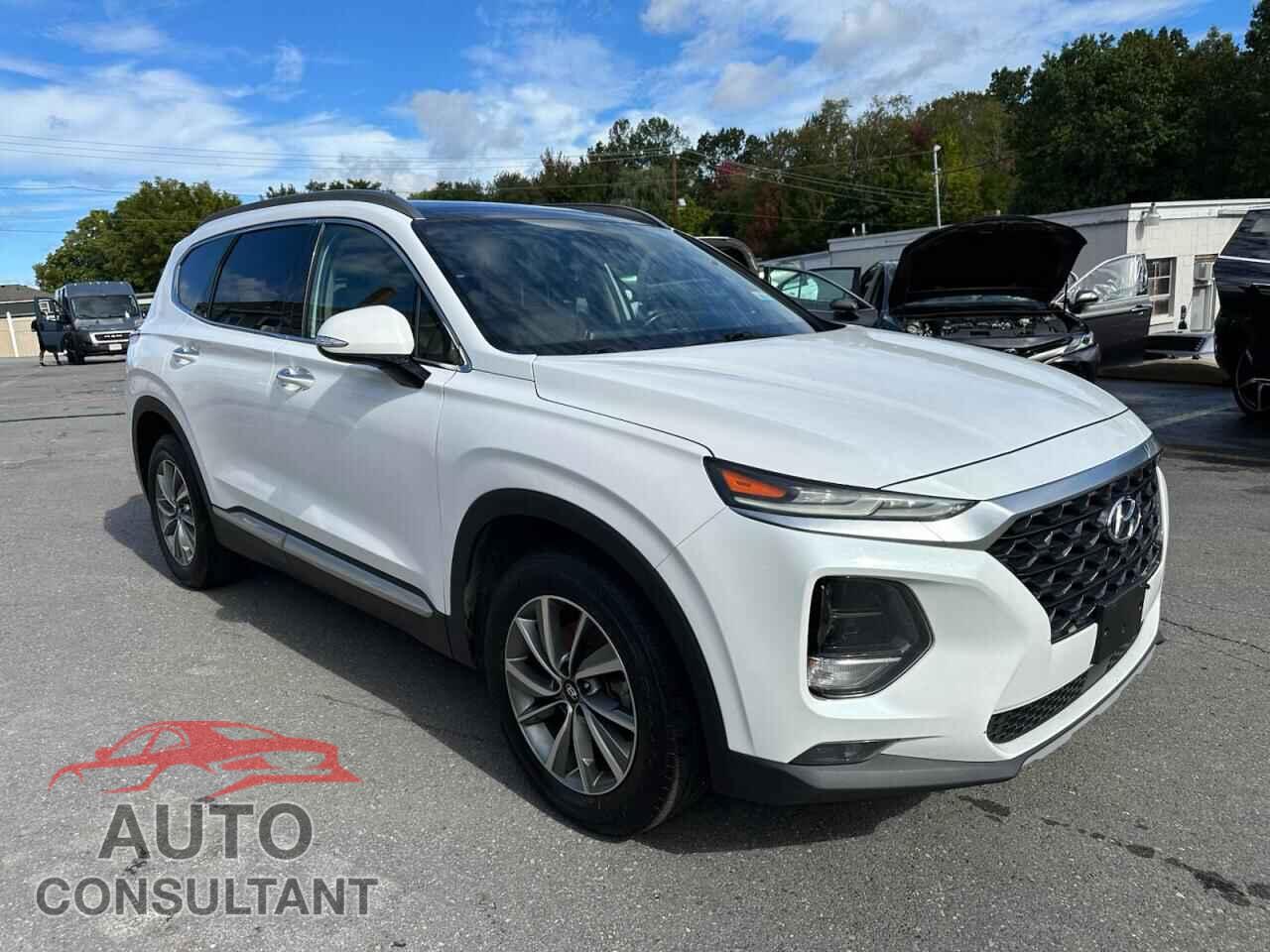 HYUNDAI SANTA FE 2019 - 5NMS5CAD8KH024059