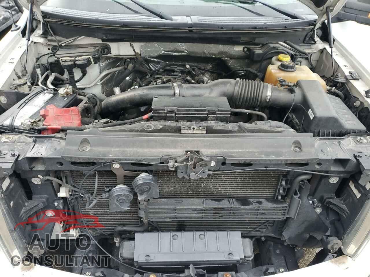 FORD F-150 2013 - 1FTFW1ET8DFD66096