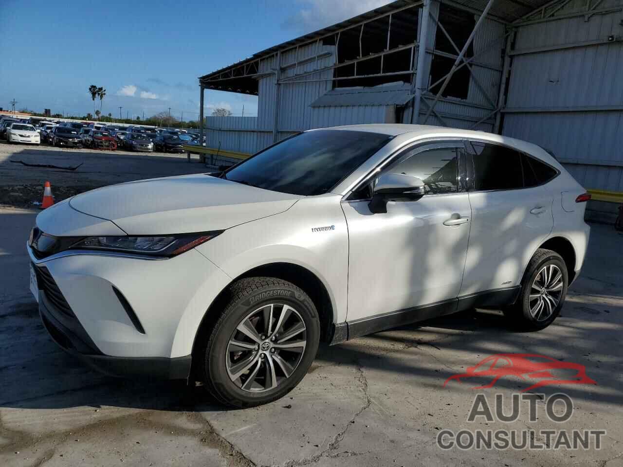 TOYOTA VENZA 2019 - JTEAAAAH3MJ002560