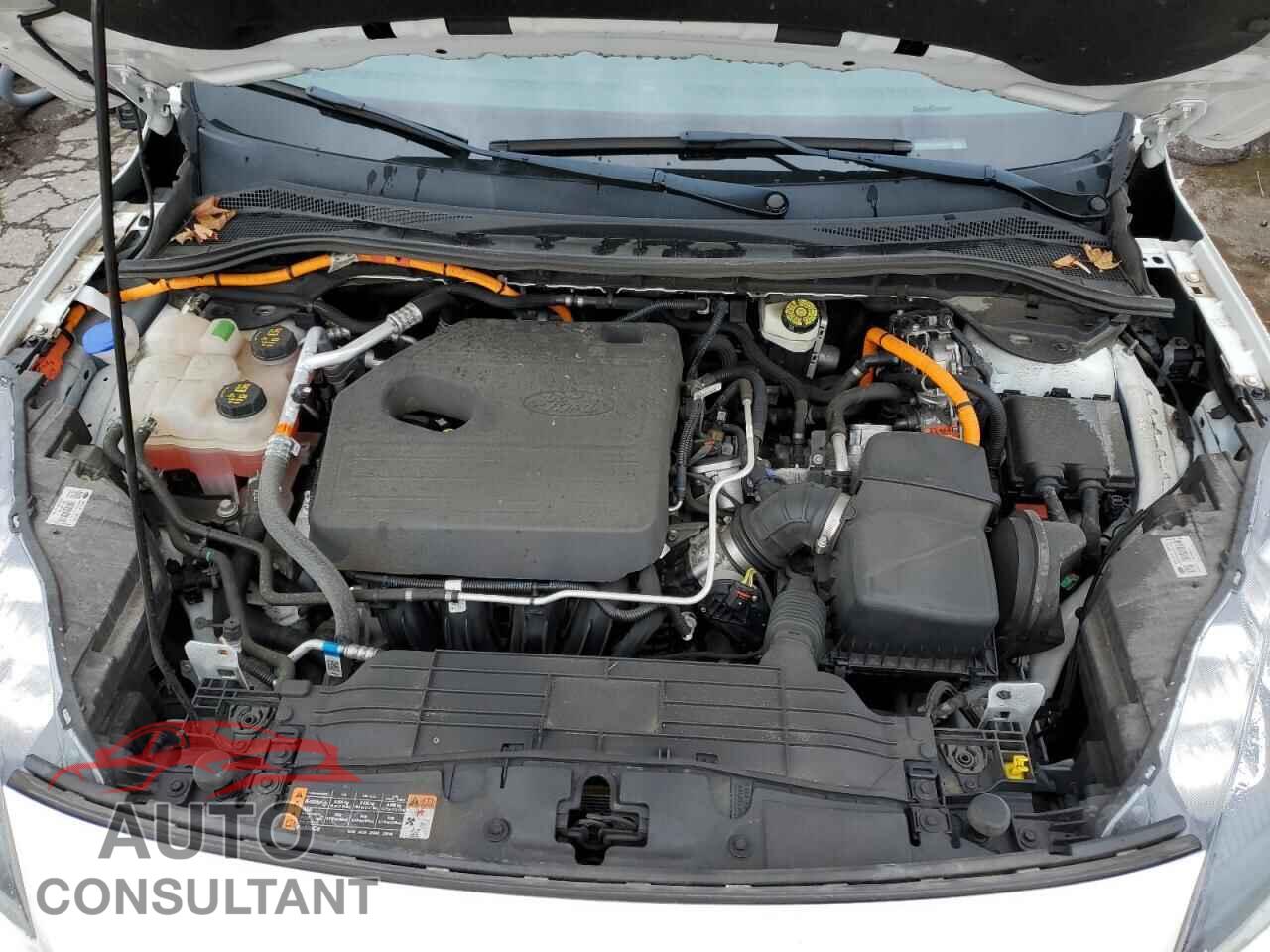 FORD ESCAPE 2020 - 1FMCU0DZ5LUA09523