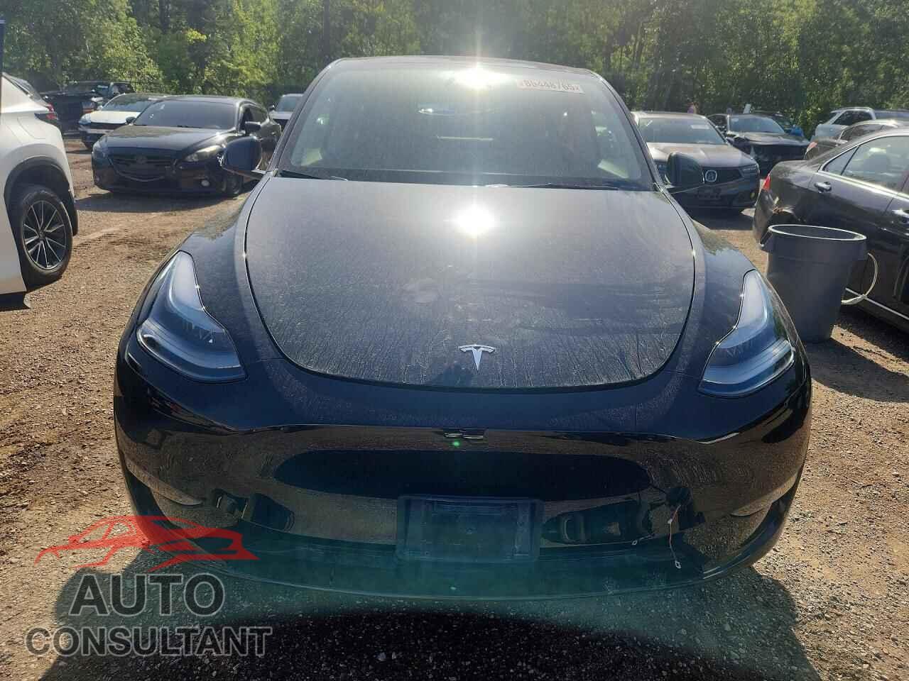 TESLA MODEL Y 2025 - 7SAYGDEE0SF296462