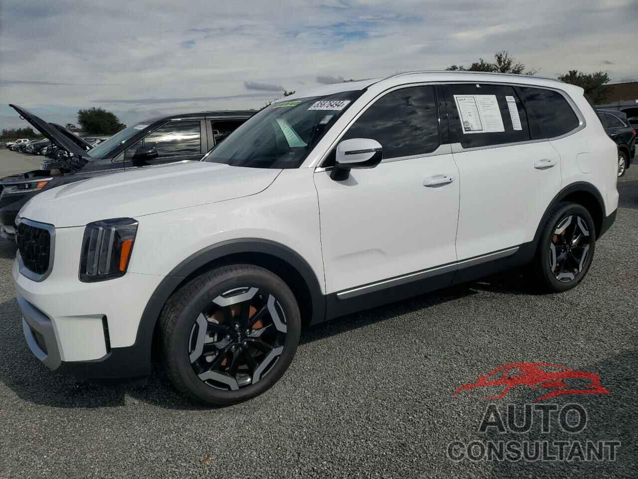 KIA TELLURIDE 2024 - 5XYP3DGC2RG426602
