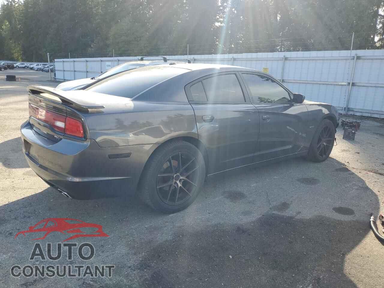 DODGE CHARGER 2013 - 2C3CDXCT2DH675631