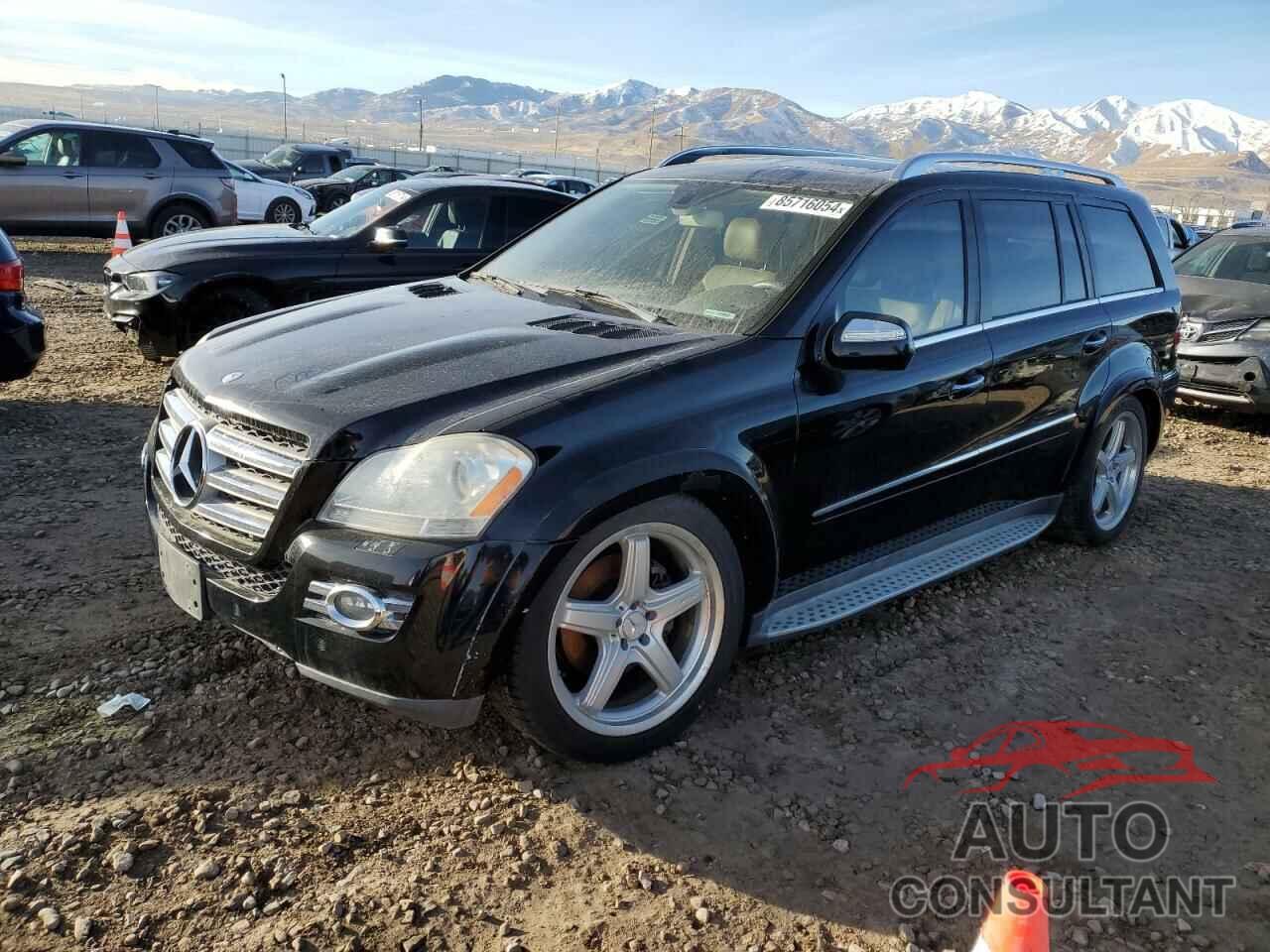 MERCEDES-BENZ GL-CLASS 2009 - 4JGBF86E49A495928