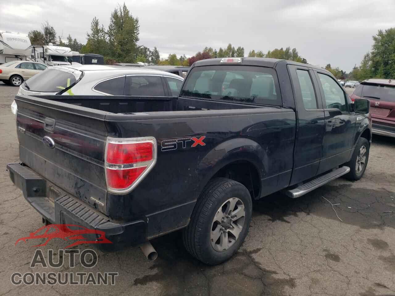 FORD F-150 2013 - 1FTFX1CF3DKF73061
