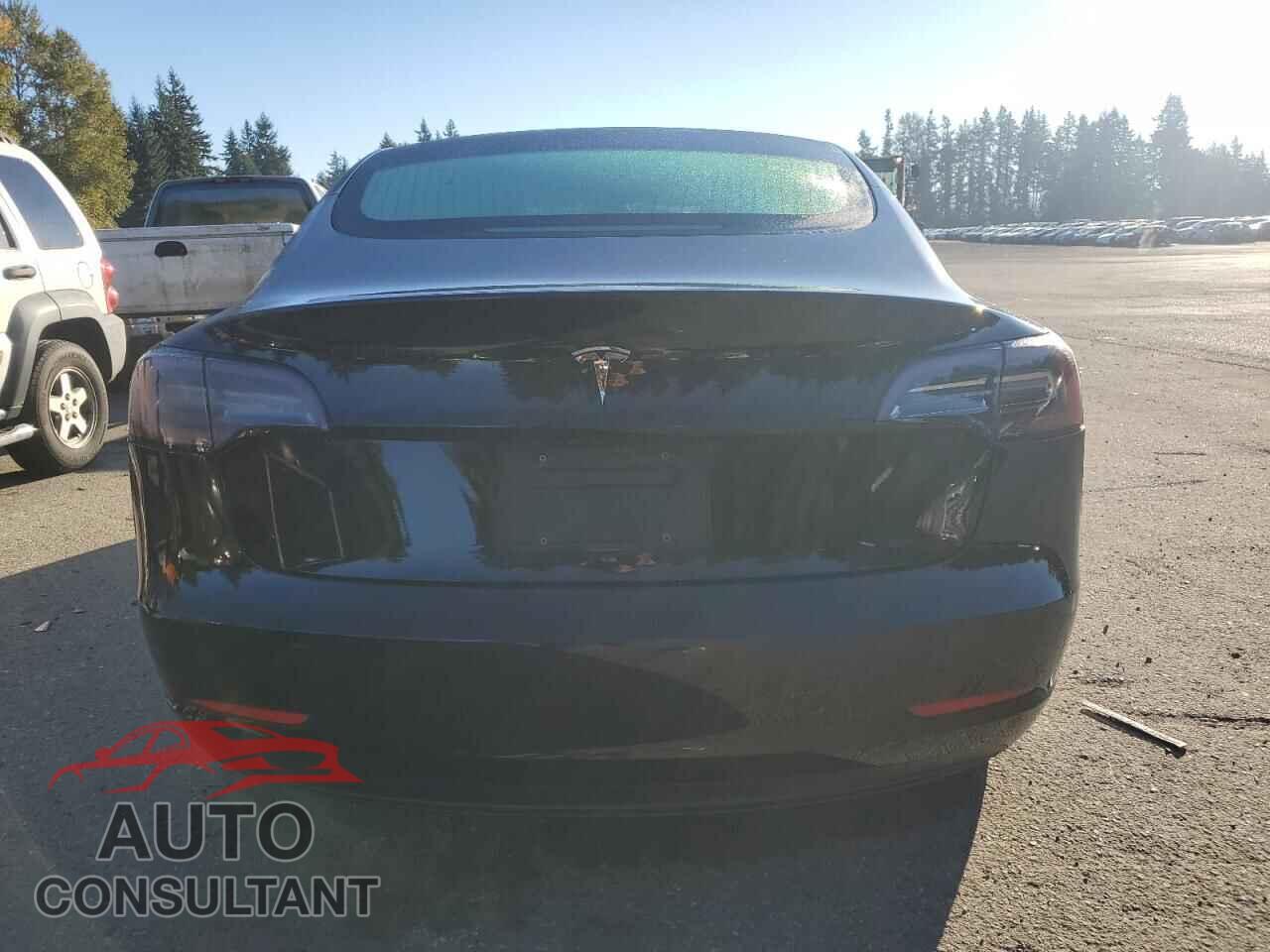 TESLA MODEL 3 2019 - 5YJ3E1EA5KF399224