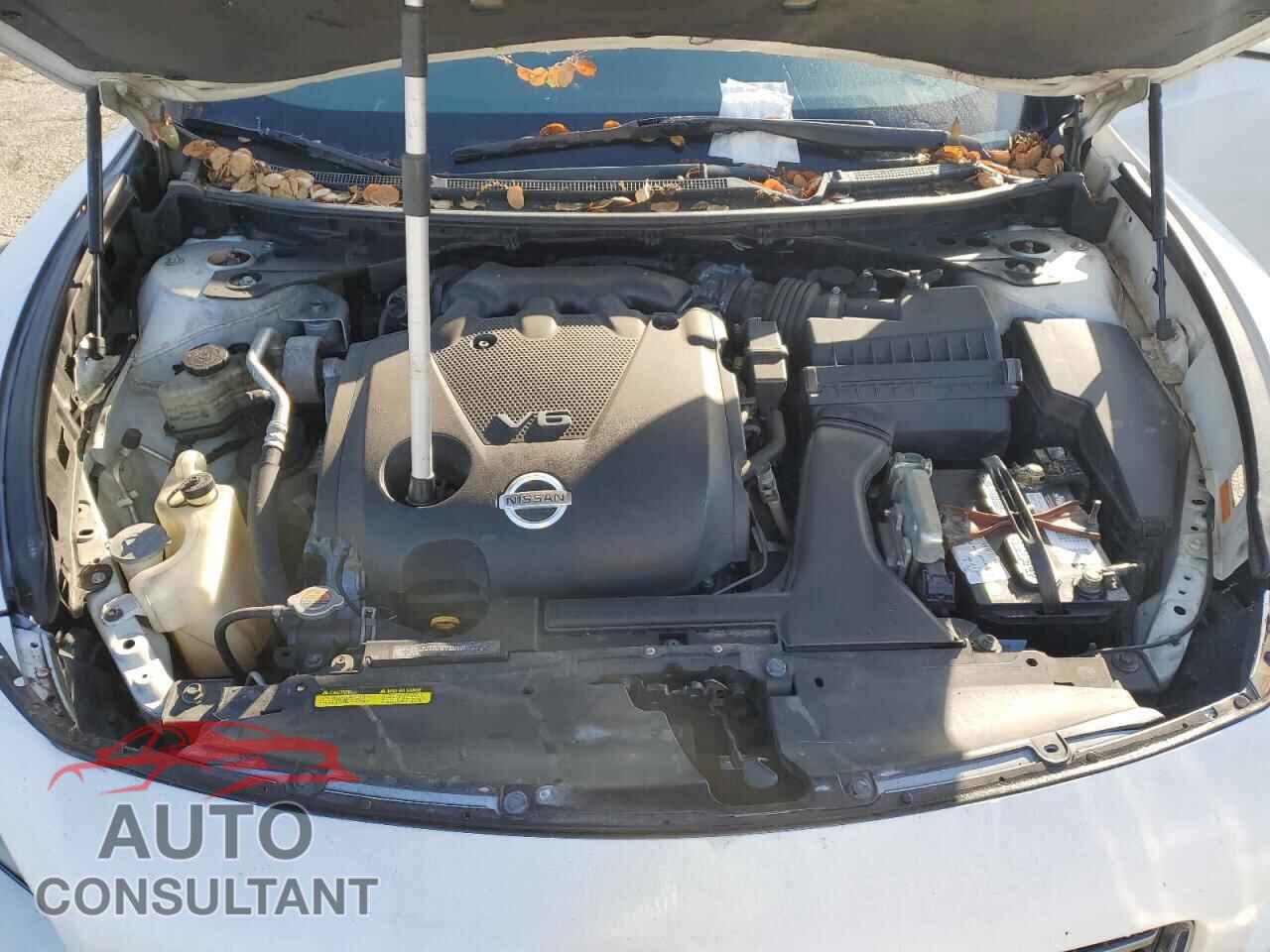 NISSAN MAXIMA 2009 - 1N4AA51E79C852954
