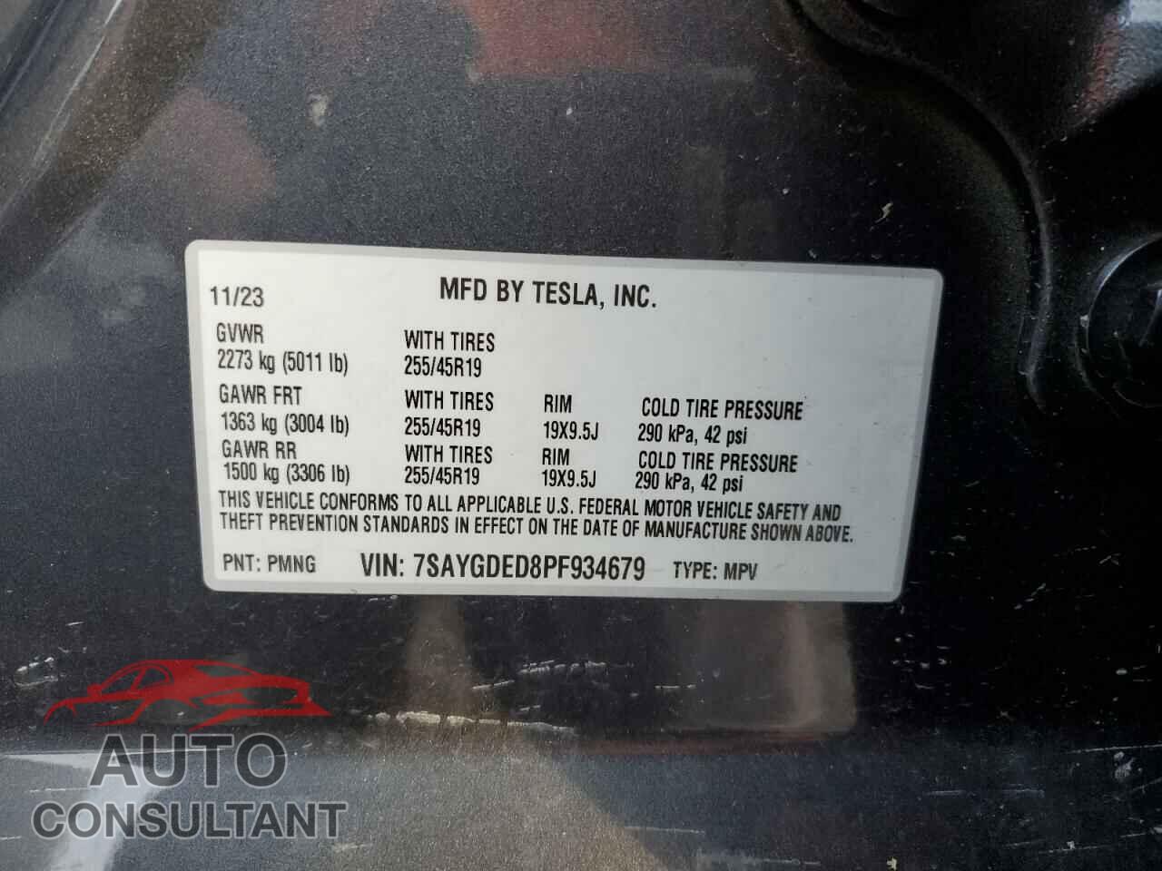 TESLA MODEL Y 2023 - 7SAYGDED8PF934679