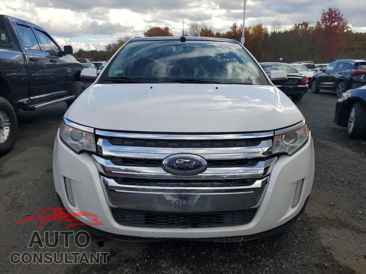 FORD EDGE 2011 - 2FMDK4KCXBBB64542