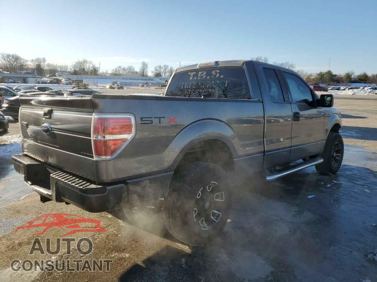 FORD F-150 2010 - 1FTEX1EW4AFD04192