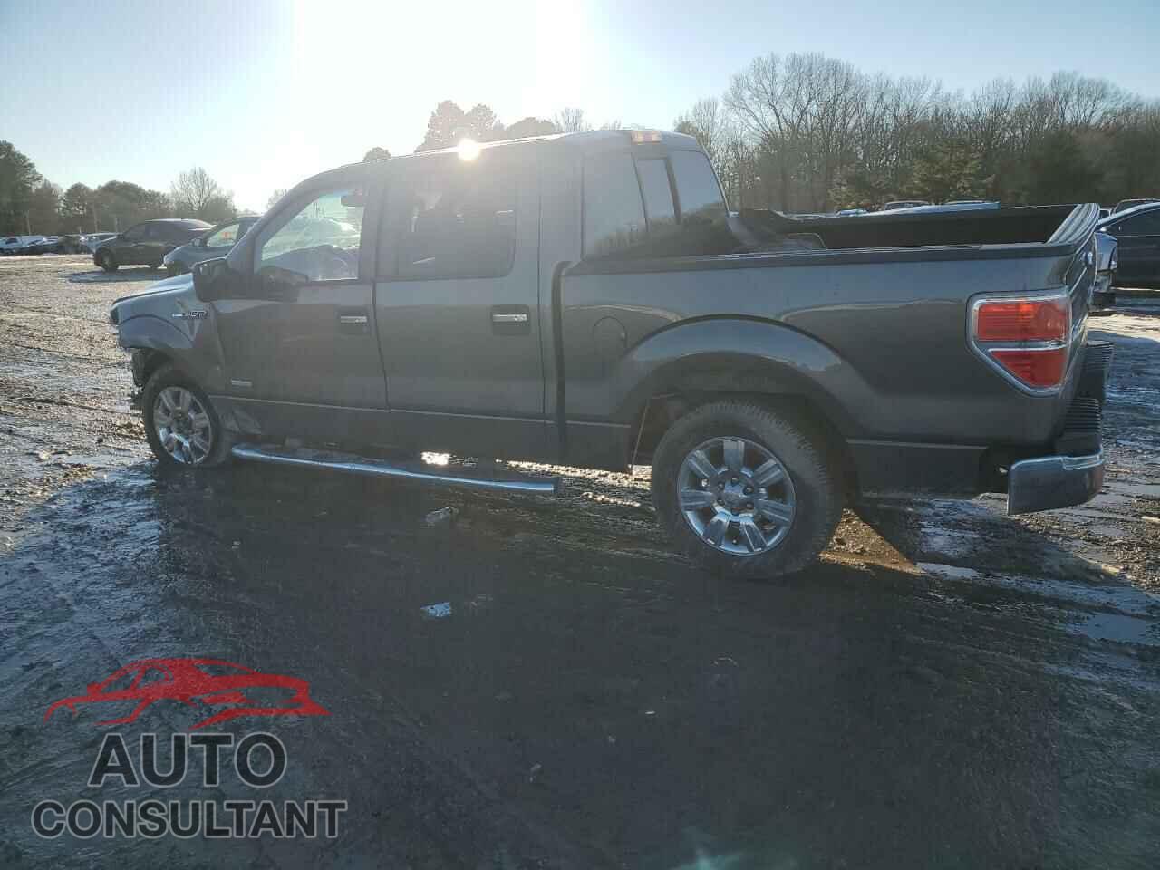 FORD F-150 2011 - 1FTFW1CT3BFA64005