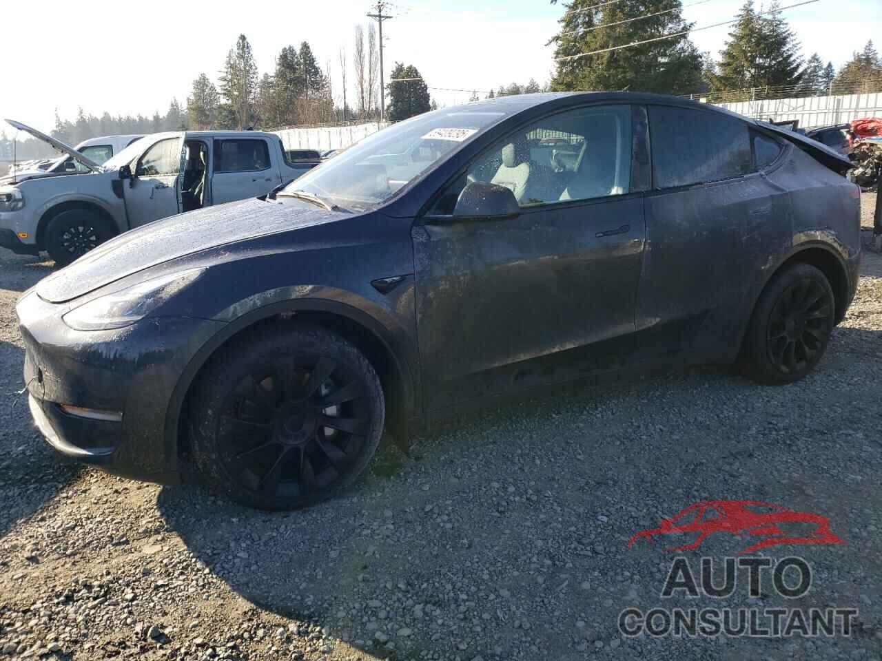 TESLA MODEL Y 2024 - 7SAYGDEEXRF988724
