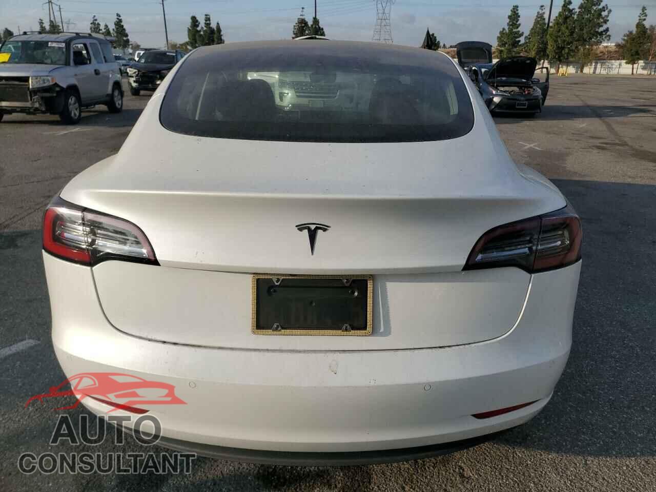 TESLA MODEL 3 2020 - 5YJ3E1EA7LF806560
