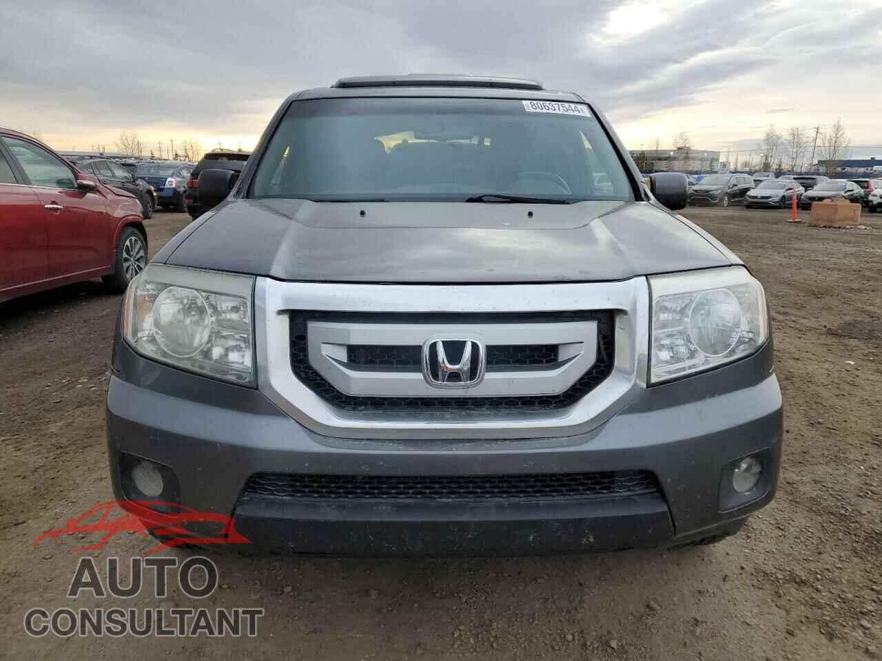 HONDA PILOT 2010 - 5FNYF4H60AB501233