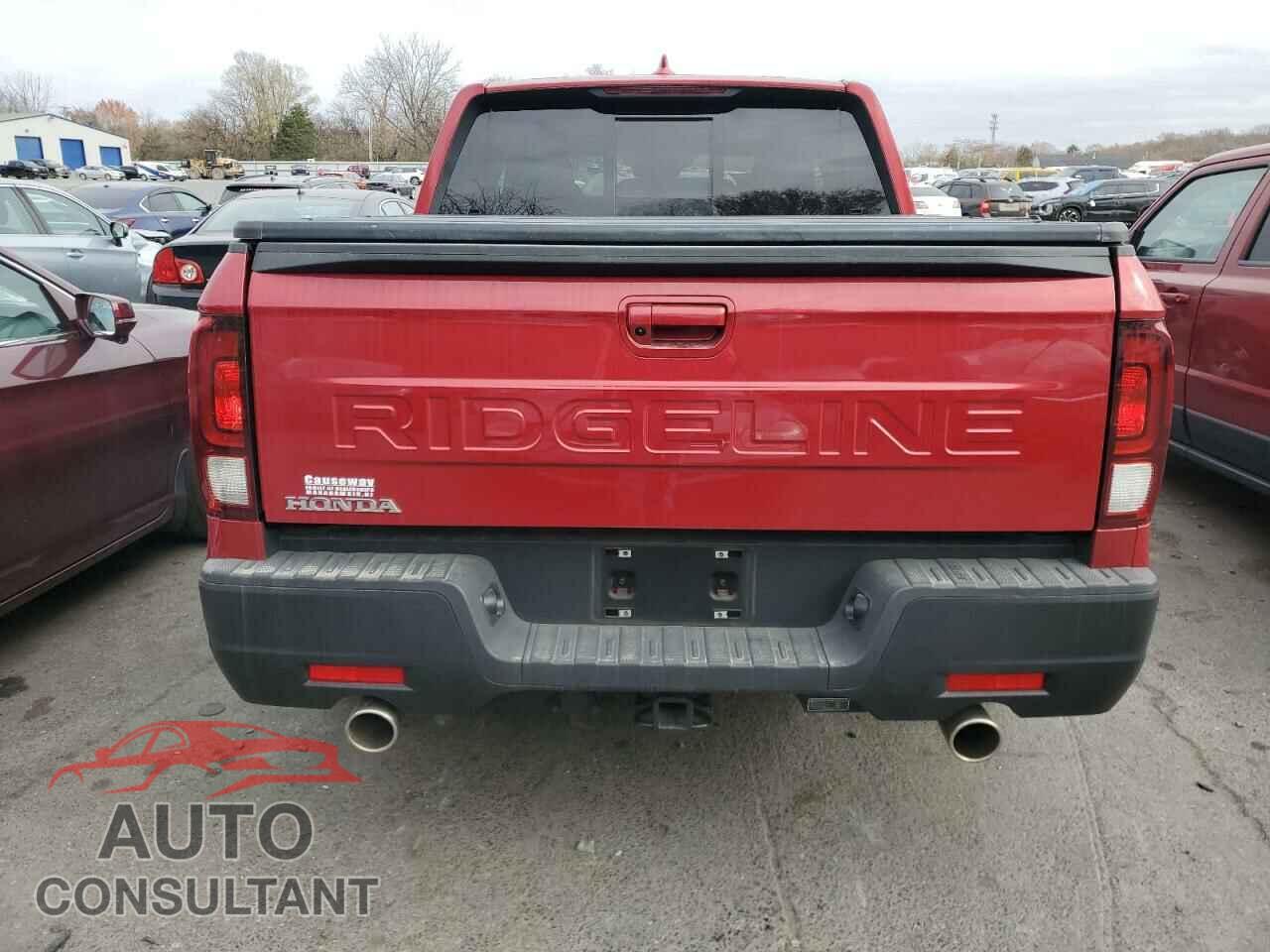 HONDA RIDGELINE 2024 - 5FPYK3F59RB014678