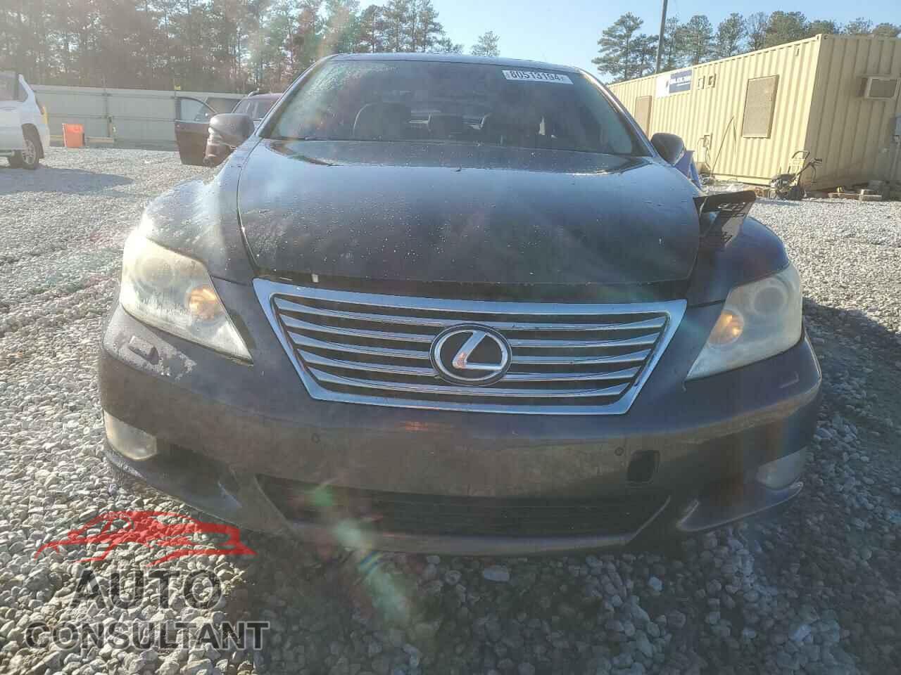 LEXUS LS460 2010 - JTHBL5EF6A5094415