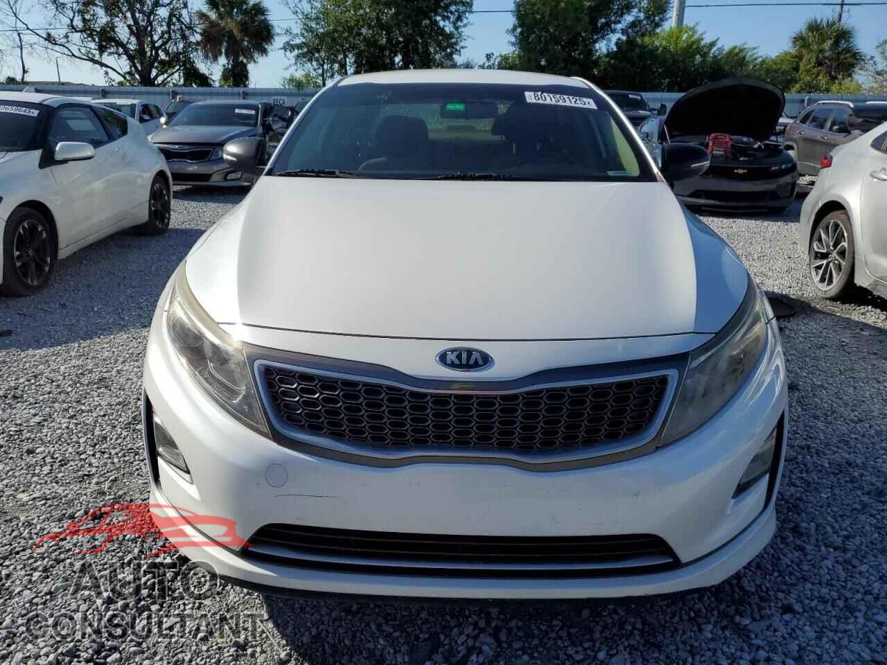 KIA OPTIMA 2016 - KNAGM4AD6G5095203