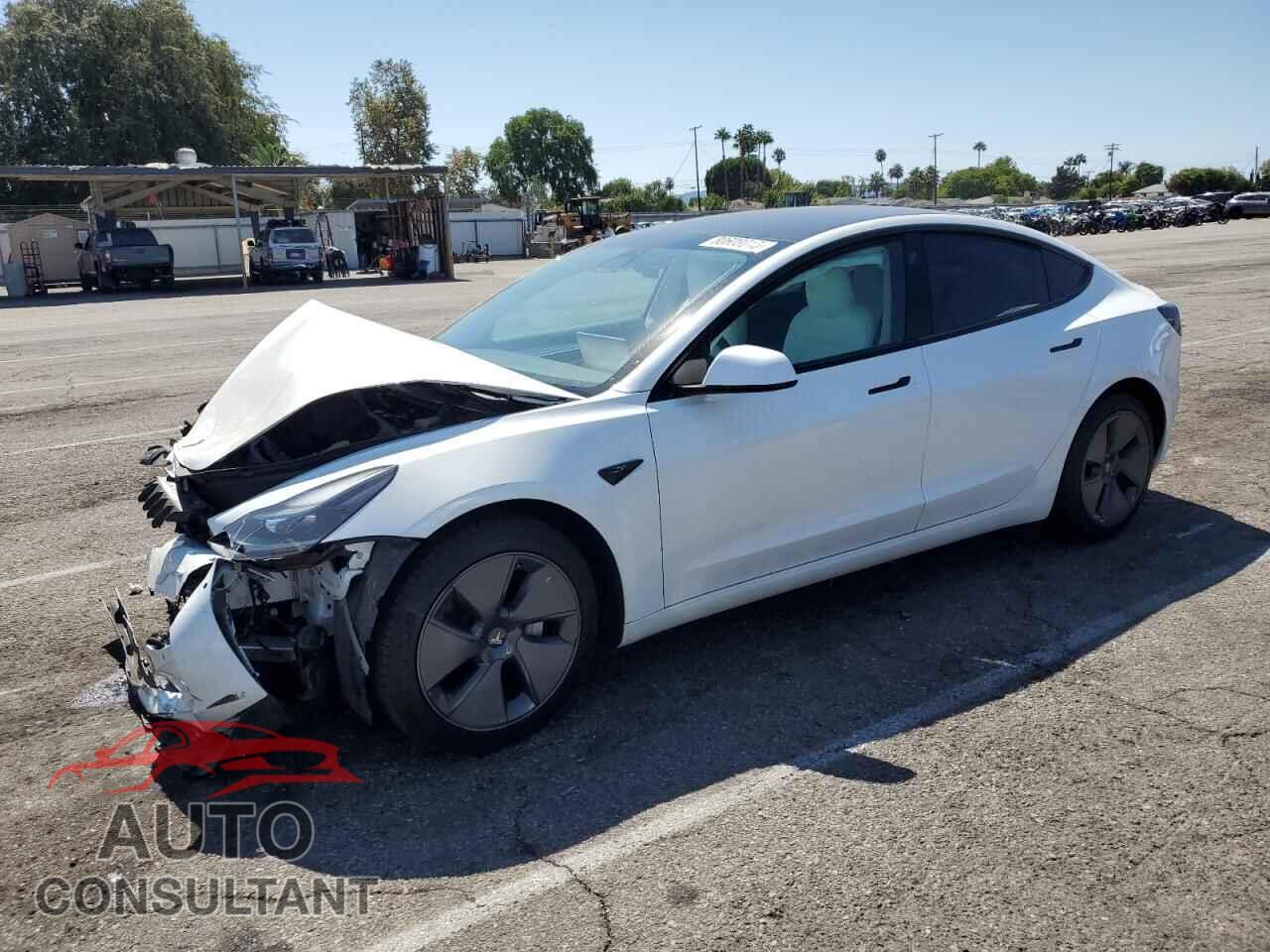 TESLA MODEL 3 2021 - 5YJ3E1EAXMF058873
