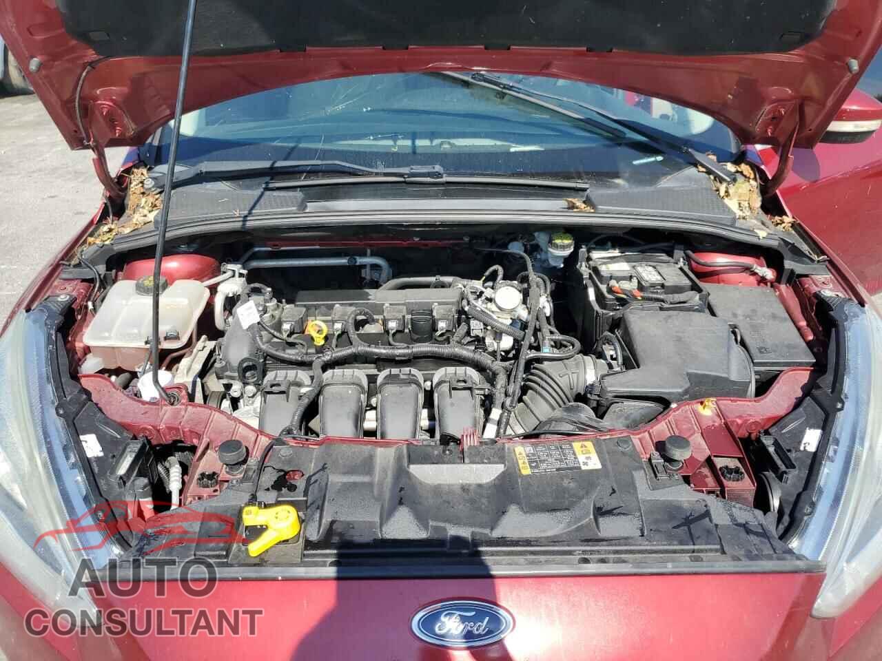 FORD FOCUS 2016 - 1FADP3N24GL406600