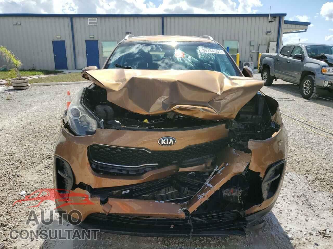 KIA SPORTAGE 2017 - KNDPM3AC1H7149159
