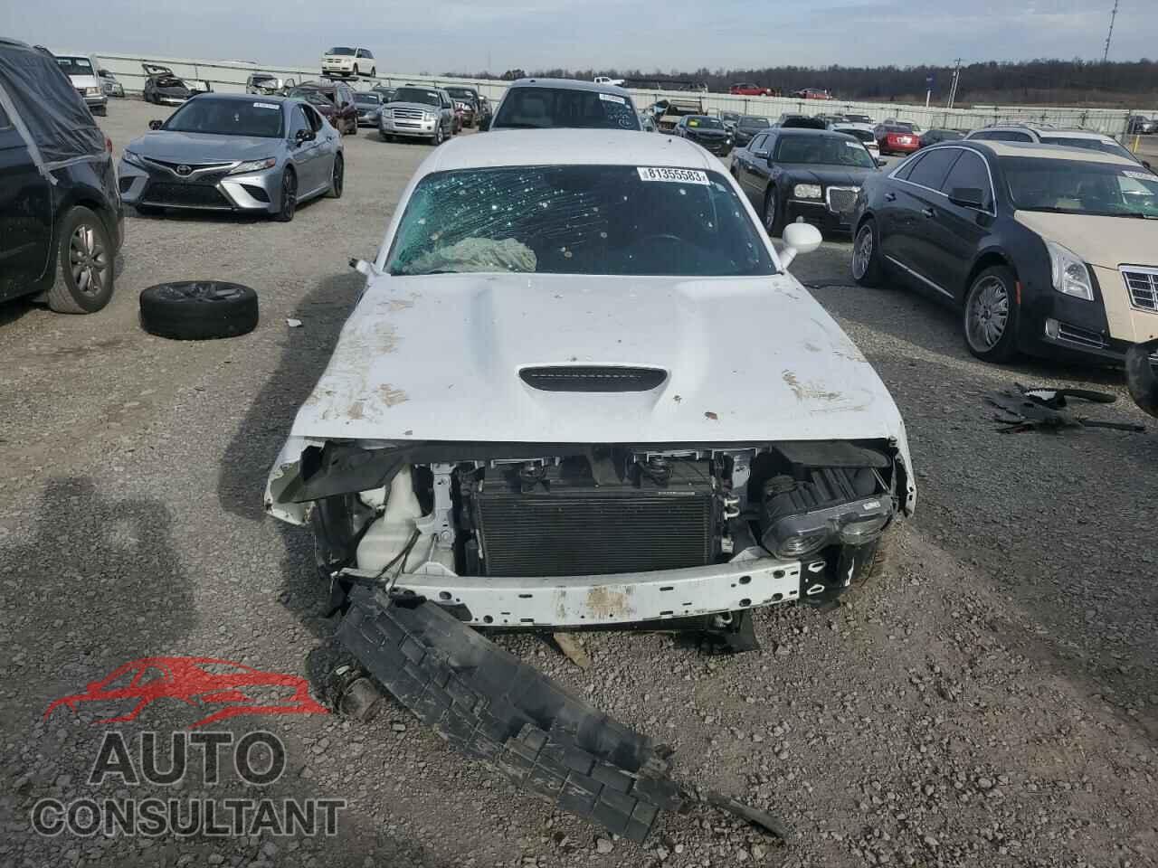 DODGE CHALLENGER 2019 - 2C3CDZBT1KH606178