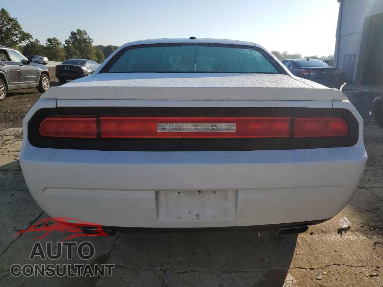 DODGE CHALLENGER 2013 - 2C3CDYAGXDH676554