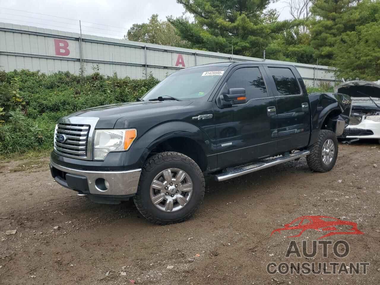 FORD F-150 2011 - 1FTFW1ET0BFB01508