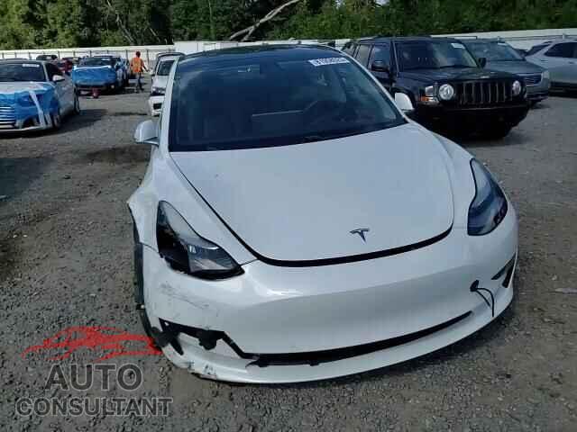 TESLA MODEL 3 2019 - 5YJ3E1EA8KF483702