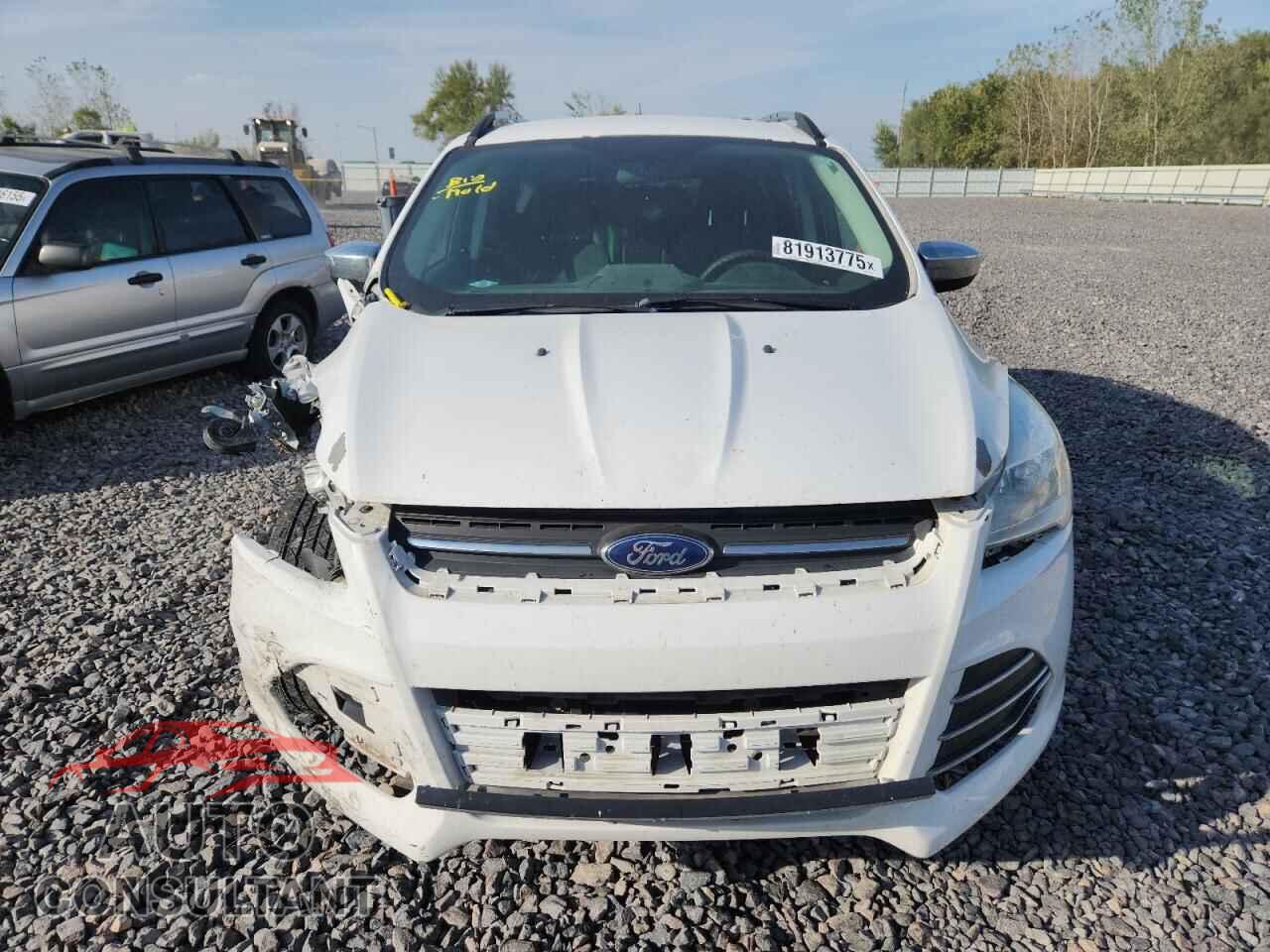 FORD ESCAPE 2016 - 1FMCU0GX7GUB26908