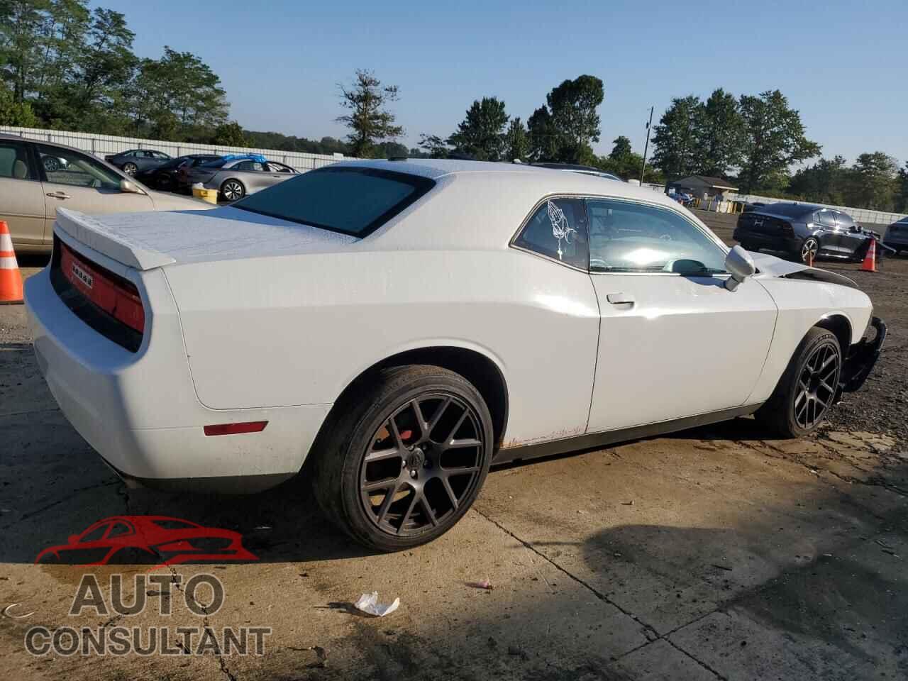 DODGE CHALLENGER 2013 - 2C3CDYAGXDH676554