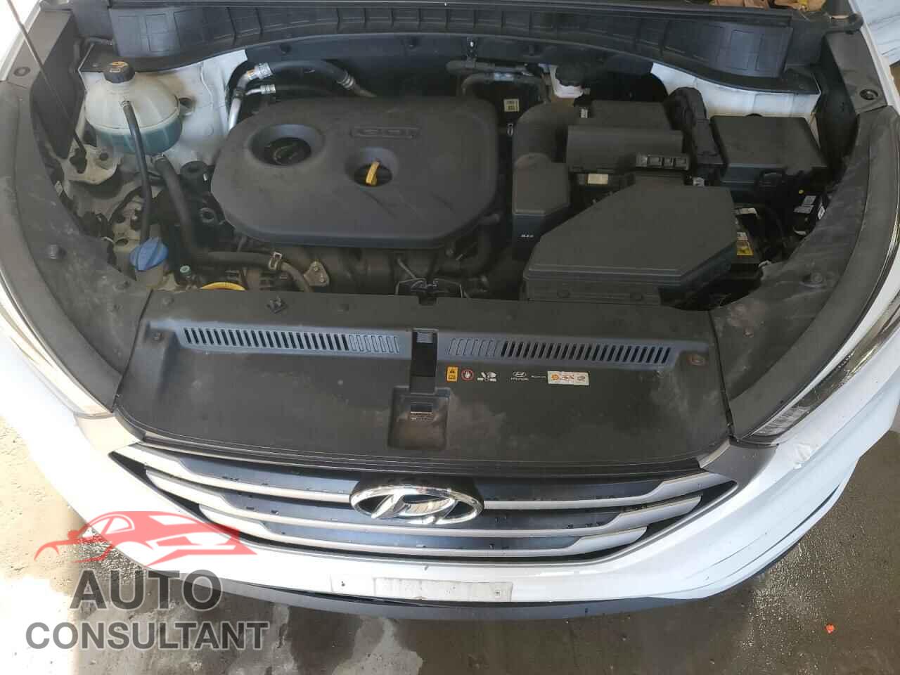 HYUNDAI TUCSON 2017 - KM8J3CA41HU306073