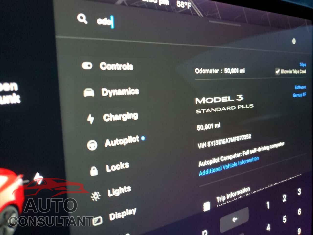 TESLA MODEL 3 2021 - 5YJ3E1EA7MF077252