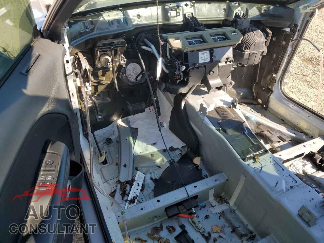 DODGE CHALLENGER 2019 - 2C3CDZFJ8KH699807