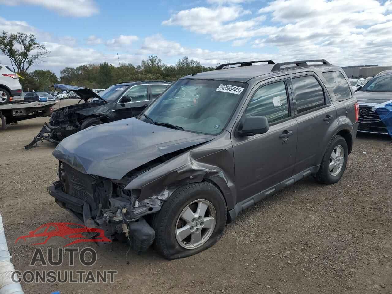 FORD ESCAPE 2010 - 1FMCU0D76AKB28706