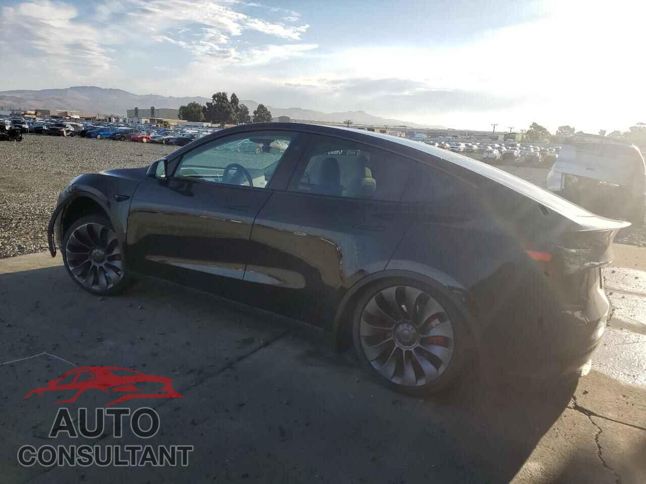 TESLA MODEL Y 2025 - 7SAYGDEFXSF303183