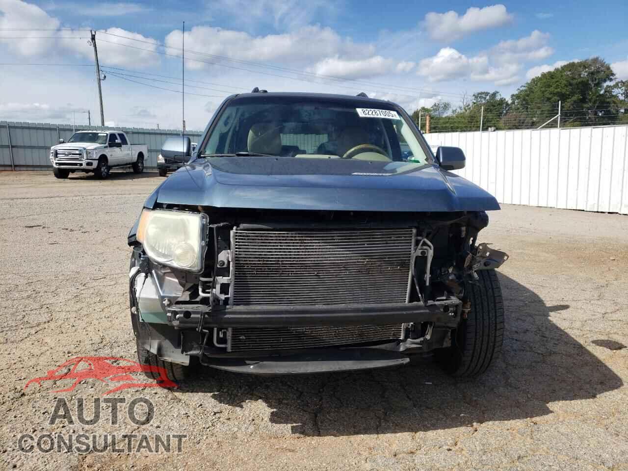 FORD ESCAPE 2010 - 1FMCU0EG4AKC82197