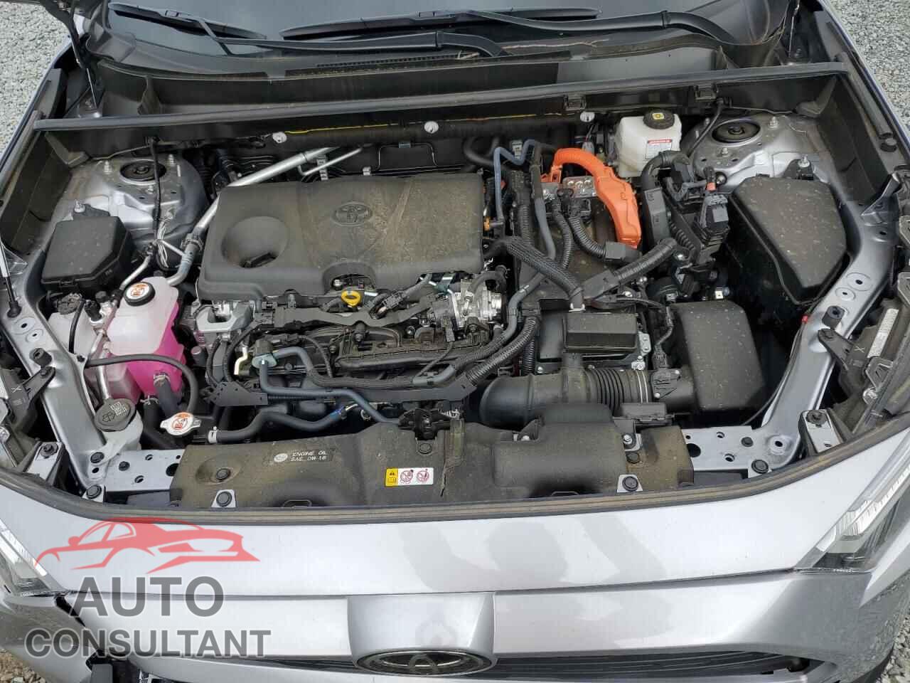 TOYOTA RAV4 2025 - JTMLWRFV9SD285490