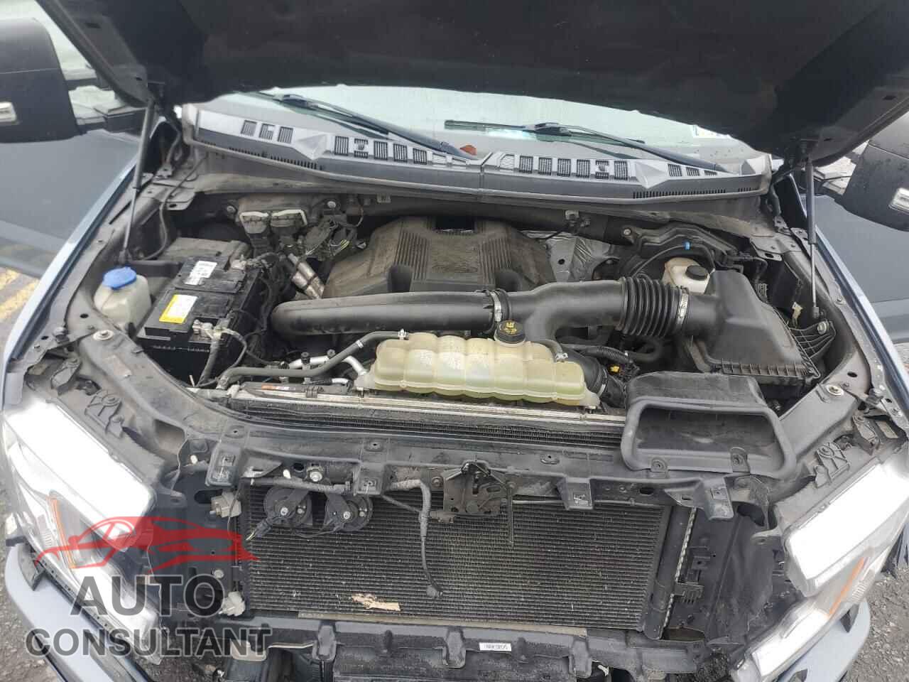 FORD F-150 2019 - 1FTFW1E41KFB72385