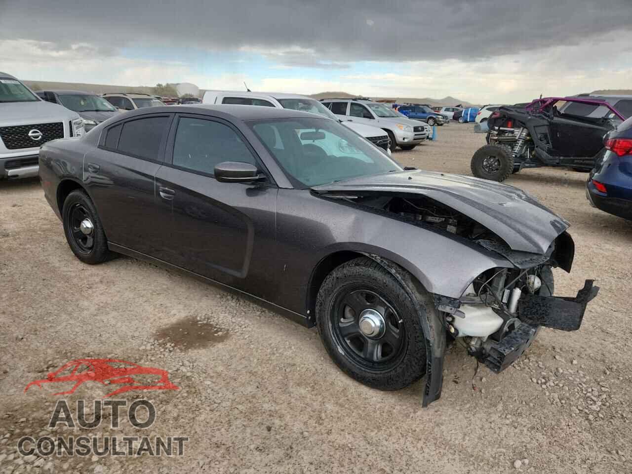 DODGE CHARGER 2014 - 2C3CDXAT0EH150880
