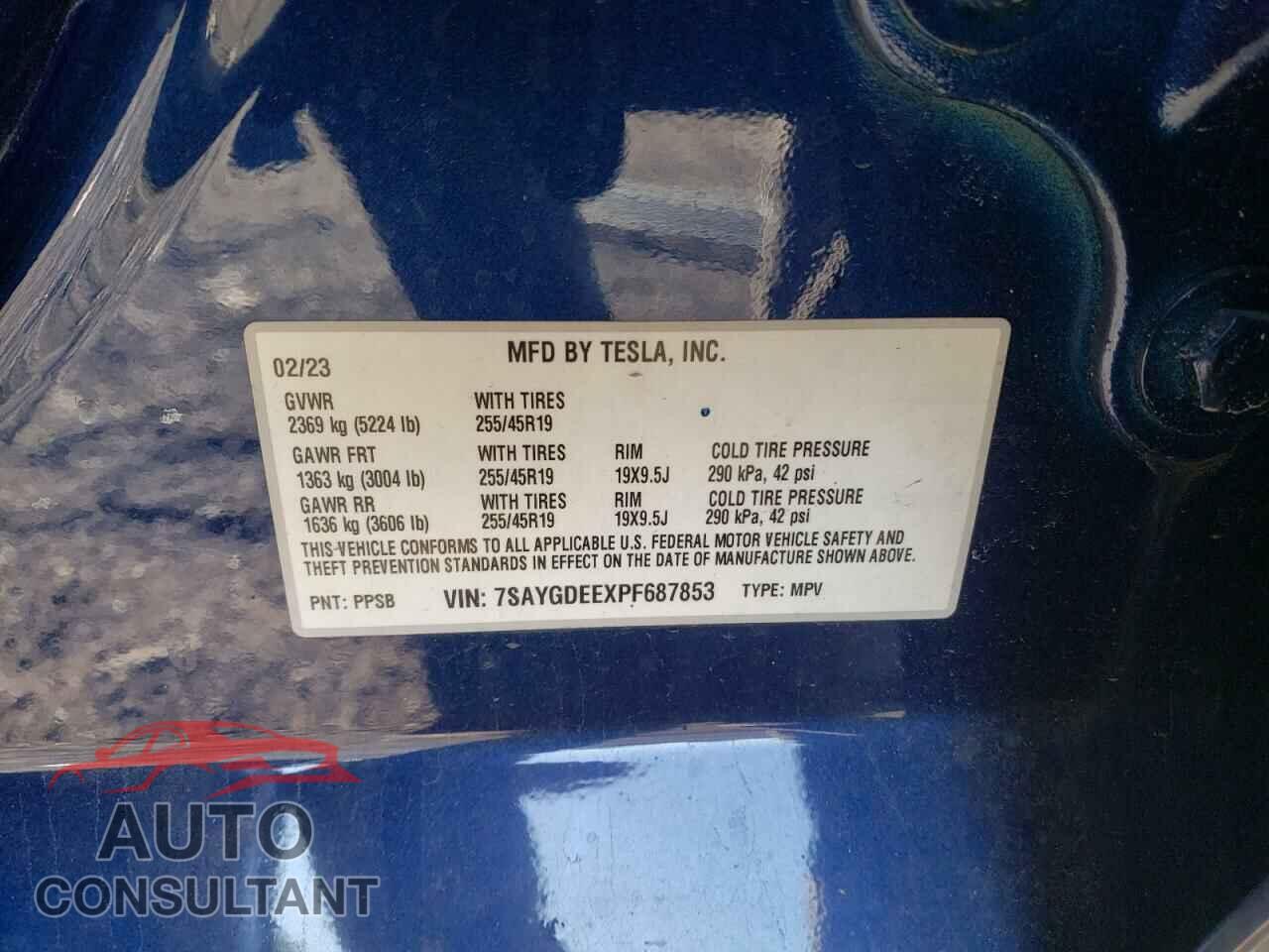 TESLA MODEL Y 2023 - 7SAYGDEEXPF687853